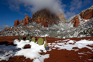 Morning snow view of Prickly Pear Cactus and Thunder Mountain (Capital Butte) in Sedona