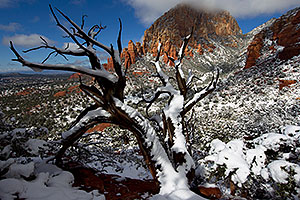 Morning snow view of Thunder Mountain (Capital Butte) in Sedona