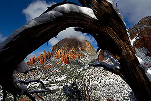 Morning snow view of Thunder Mountain (Capital Butte) through a tree arch in Sedona