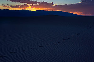 Footprints at Mesquite Sand Dunes in Death Valley