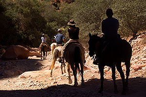 Shadow rider and others along Havasupai Trail
