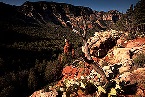 Prickly Pear Cactus and Hoodoo at Schnebly Hill in Sedona