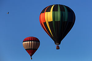 Balloons at Lake Havasu Balloon Fest
