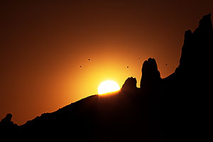 Birds flying at sunrise in Superstitions