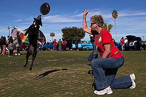 Frisbee dog Sami at Lake Havasu Balloon Fest