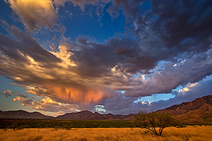 Santa Rita Mountains