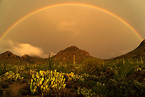 Rainbow and fog during monsoon rain in Tucson Mountains
