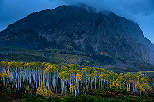 Fall colors at Kebler Pass, Colorado