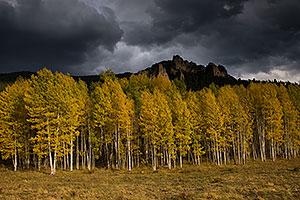 Fall colors at Owl Creek Pass, Colorado