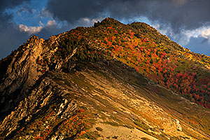Fall Colors by Salt Lake City, Utah