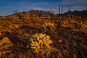 Evening at Santa Rita Mountains, Arizona