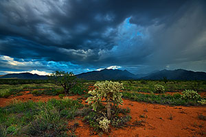 Santa Rita Mountains