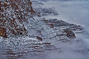 Snow and fog at Grand Canyon