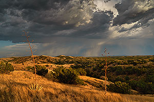 Monsoon clouds in high desert in southern Arizona