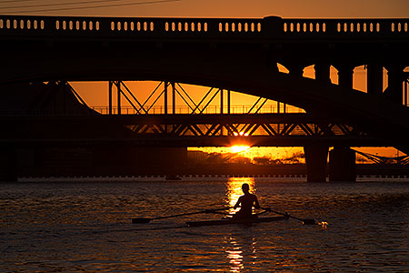 Rowers at Tempe Town Lake 