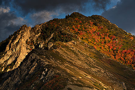 Fall Colors by Salt Lake City, Utah 