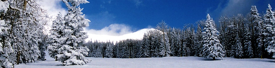 /images/500/2003-03-snowbowl-blue-sp.jpg - #01169: Snowbowl ski area … March 2003 -- Snowbowl, Arizona
