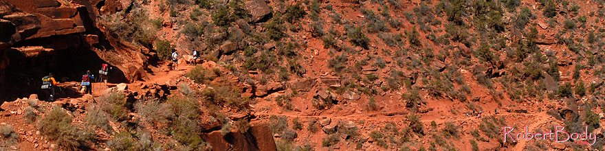 /images/500/2008-03-30-gc-ba-hik-6442sp.jpg - #04963: Hikers heading down from 1.5 mile point along Bright Angel Trail in Grand Canyon … March 2008 -- Bright Angel Trail, Grand Canyon, Arizona