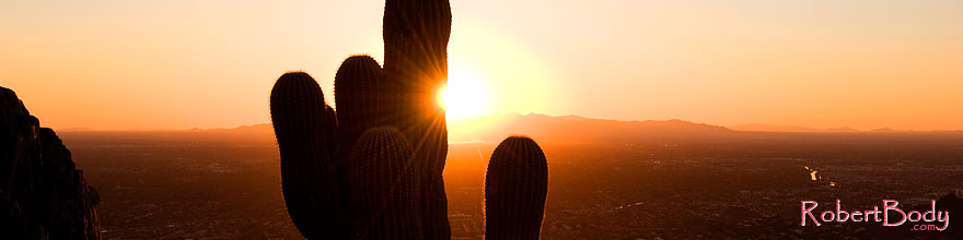 /images/500/2008-09-23-squaw-cactus-29681sp.jpg - #05898: View of Phoenix -- Cactus Sunset at Squaw Peak … September 2008 -- Squaw Peak, Phoenix, Arizona