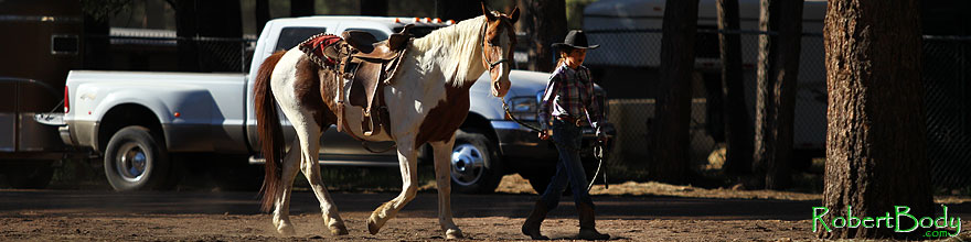 /images/500/2010-06-05-naha-horses-1061sp.jpg - #08078: Morning at NAHA Horseback riding event in Flagstaff … June 2010 -- Fort Tuthill County Park, Flagstaff, Arizona