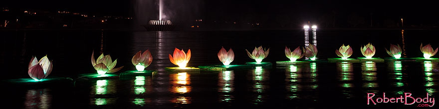 /images/500/2014-02-09-fhills-chin-lill-5d2_3203sp.jpg - #11774: Water Lillies at Chinese New Year Lantern Culture and Arts Festival 2014 … February 2014 -- Fountain Hills, Arizona