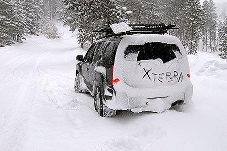 snowstorm by Sedalia 