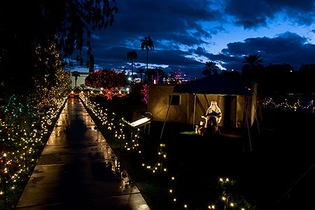 Display at Mesa Arizona Temple 