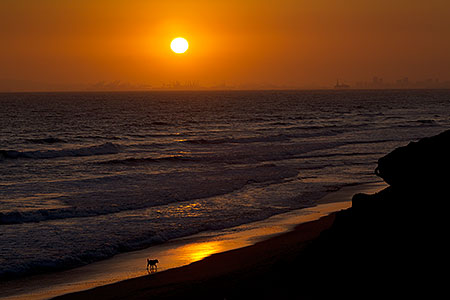 Surfers at Huntington Beach 