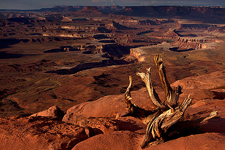 Green River Overlook in Canyonlands 