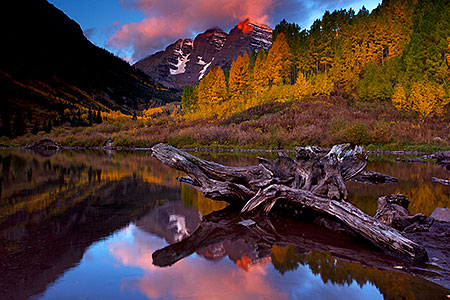Sunrise reflection of a tree log and Maroon Bells in Colorado 