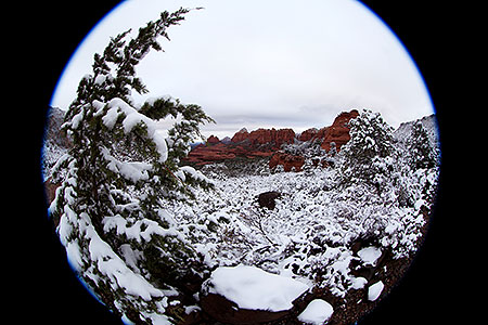 Snow in Sedona 