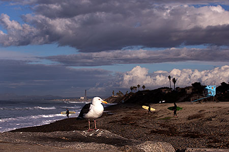 Coast by Carlsbad, California 