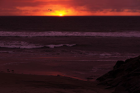 Sunset by Carlsbad, California 