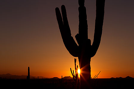 Sunset in Superstitions 