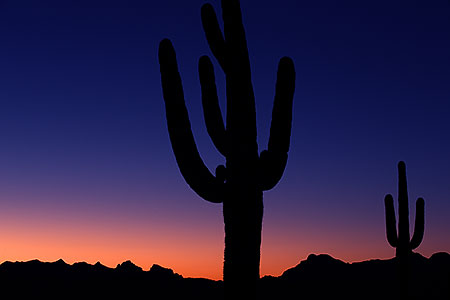 View of Superstitions 