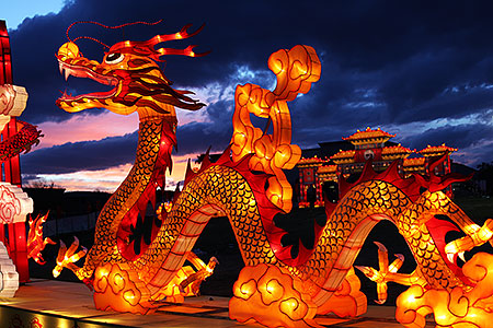 Dragon at Chinese New Year Lantern Culture and Arts Festival 2014 