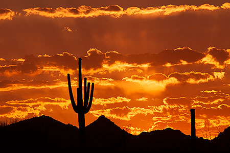 Sunset in Superstitions 