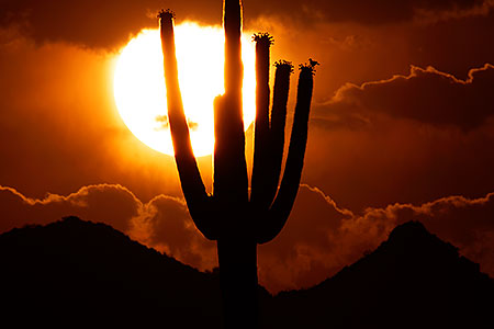 Sunset in Superstitions 