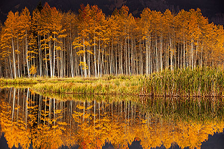 Images of Owl Creek Pass 