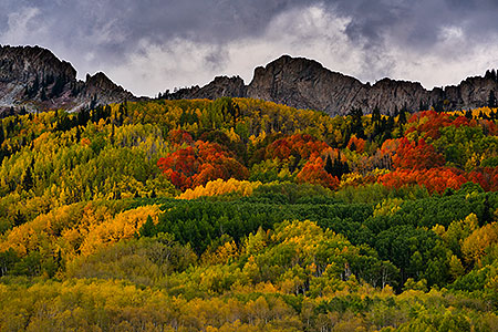 Kebler Pass, Colorado 