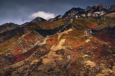 Fall Colors by Salt Lake City, Utah 