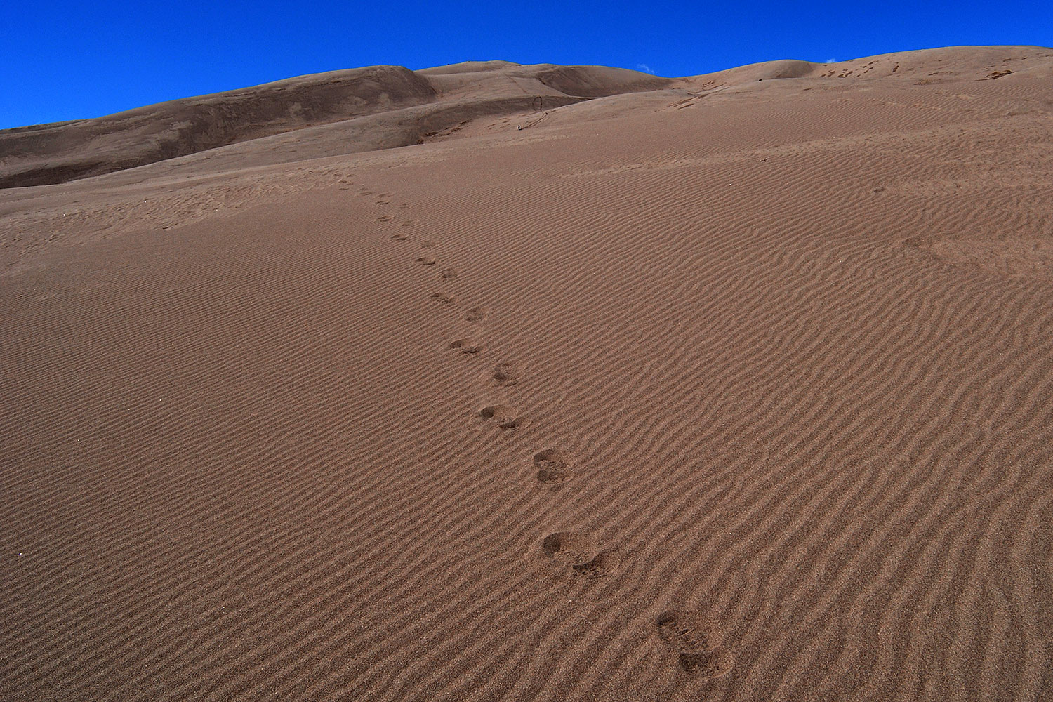 2007-04-14-sand-dunes03