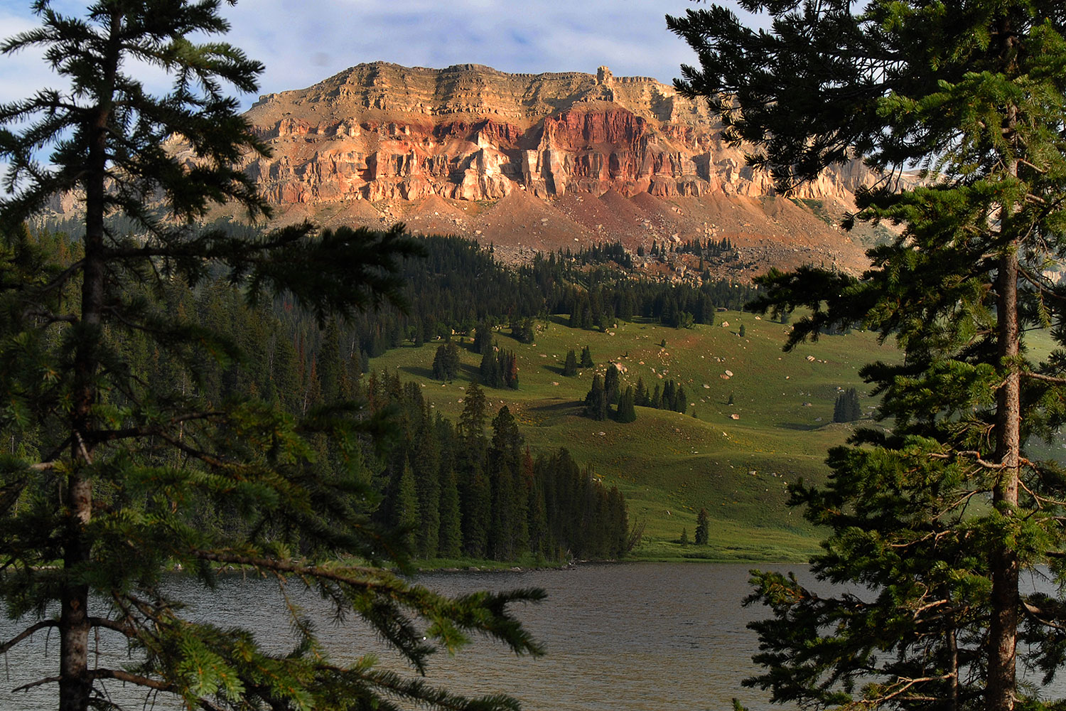 montana