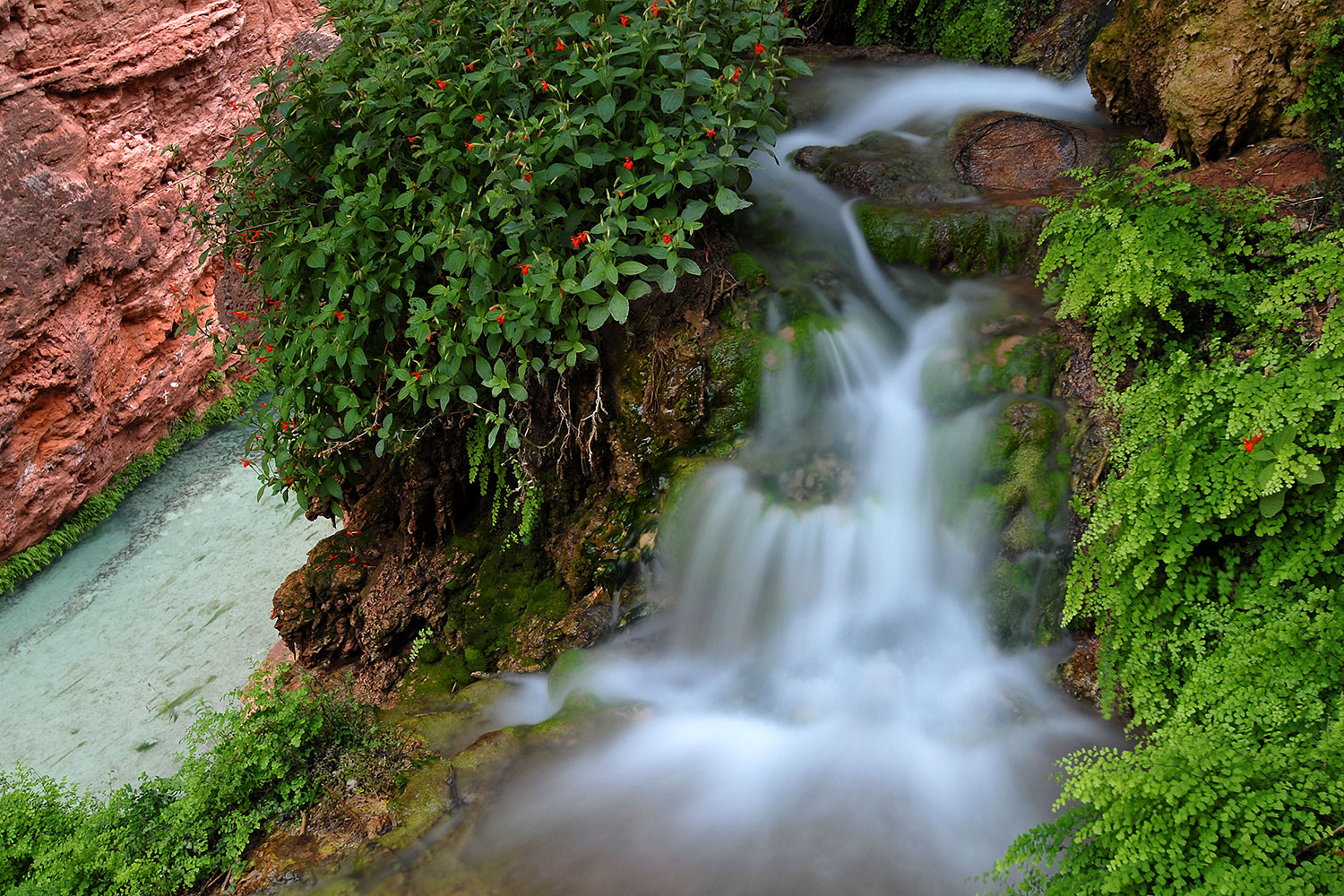 2008-04-20-hav-creek-4051