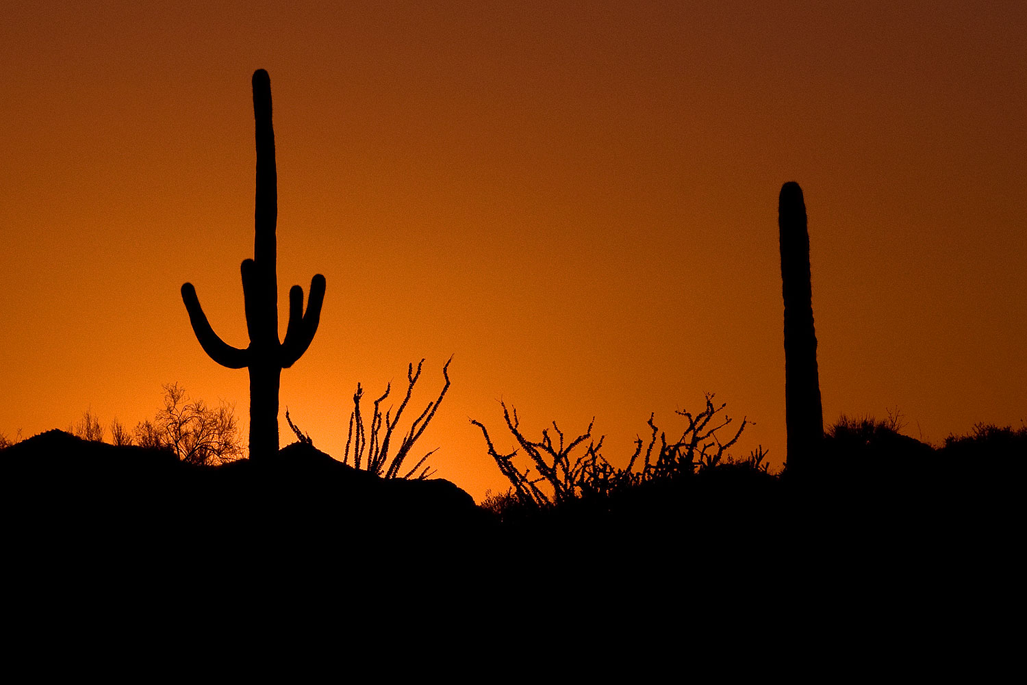 2008-08-22-supers-sunset-22237