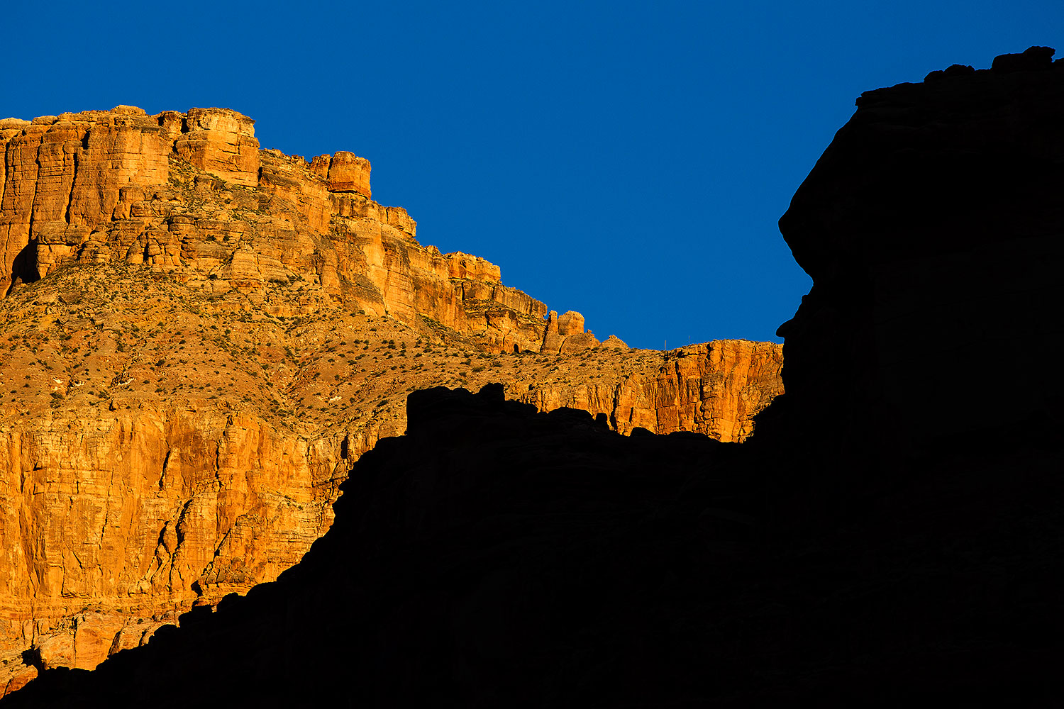 2010-06-21-havasu-faces-7395