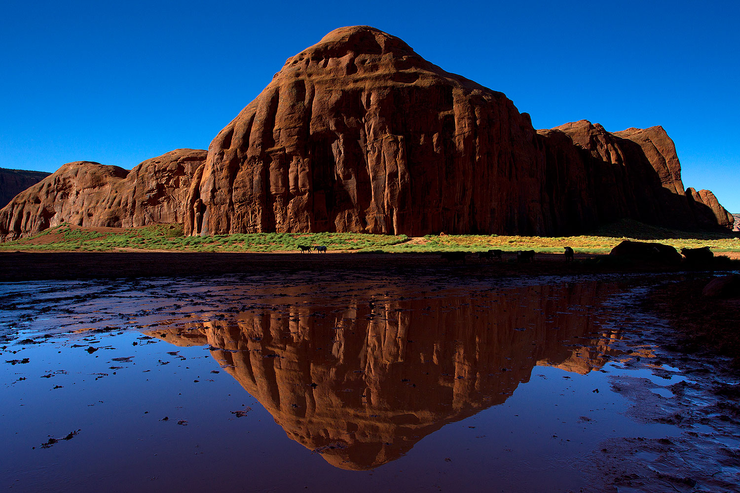 2010-09-03-monvalley-reflection-29665