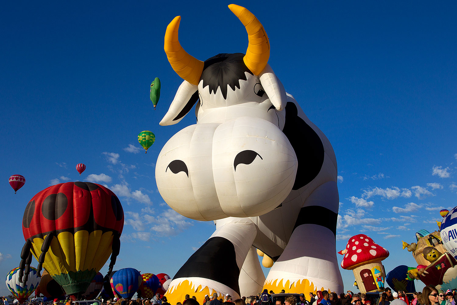 2010-10-08-abq-balloon-fiesta-39834