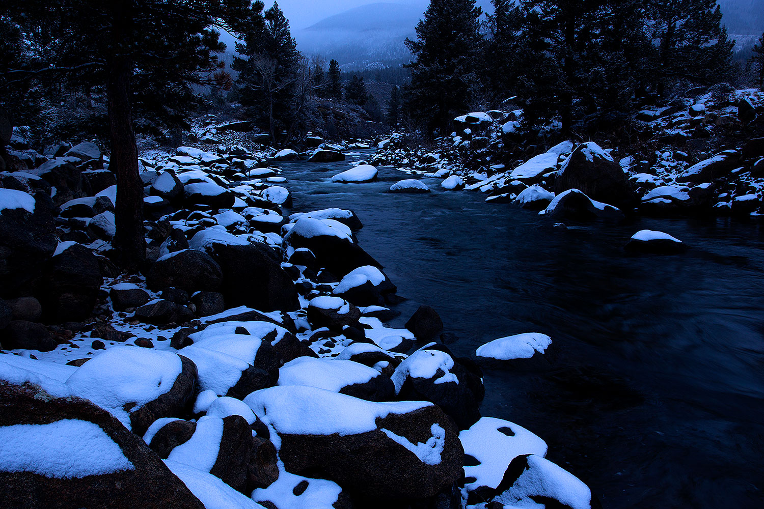 2010-12-19-buena-vista-47102