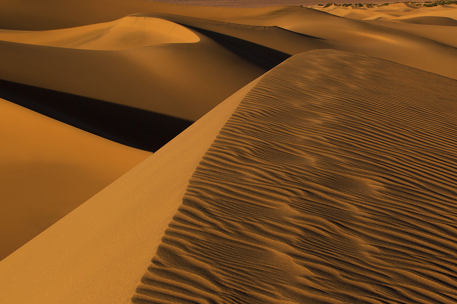 2011-05-27-dv-mesquite-dunes-72203